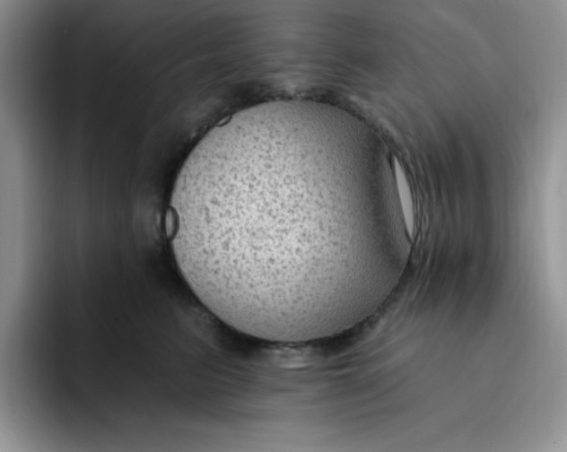 X0000091730615200709141227