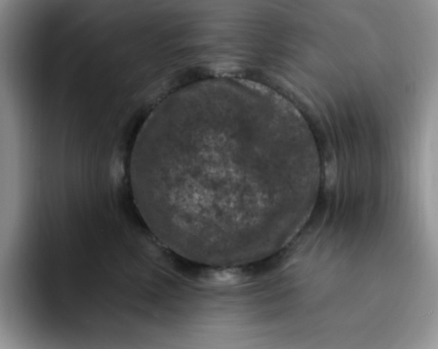 X0000091730618200709141227