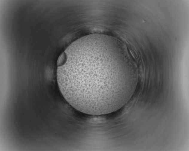 X0000091730619200709141227