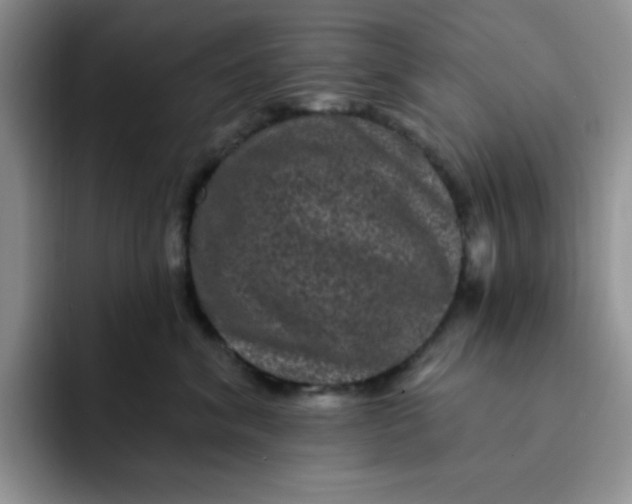 X0000091730620200709141227