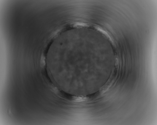 X0000091730621200709141227