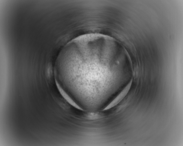 X0000091730623200709141227