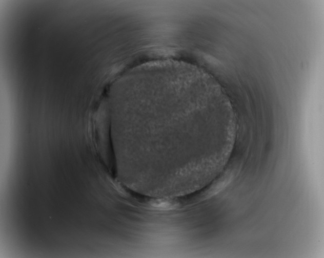 X0000091730624200709141227