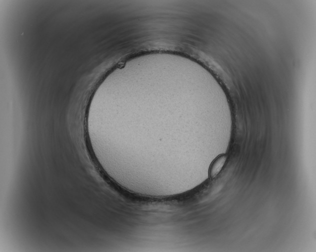 X0000091730625200709141226