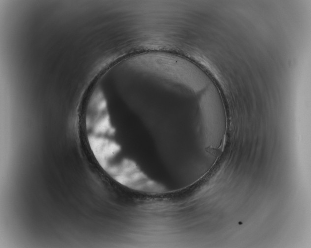 X0000091730626200709141226