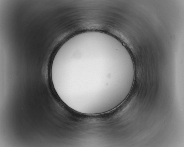 X0000091730629200709141226