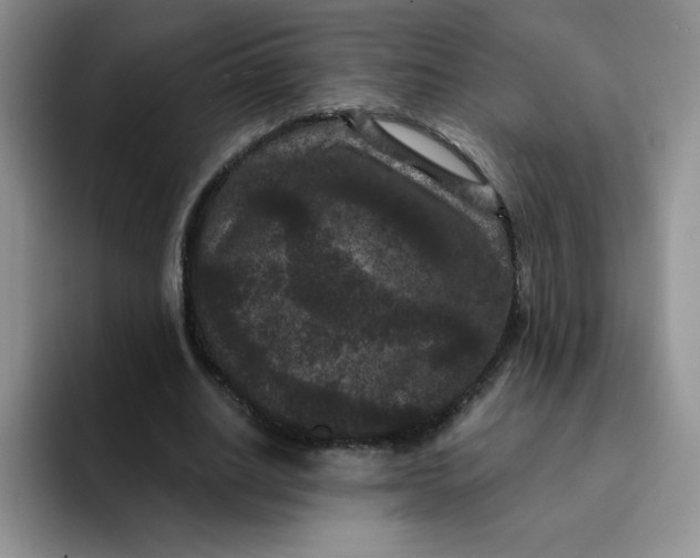 X0000091730630200709141226