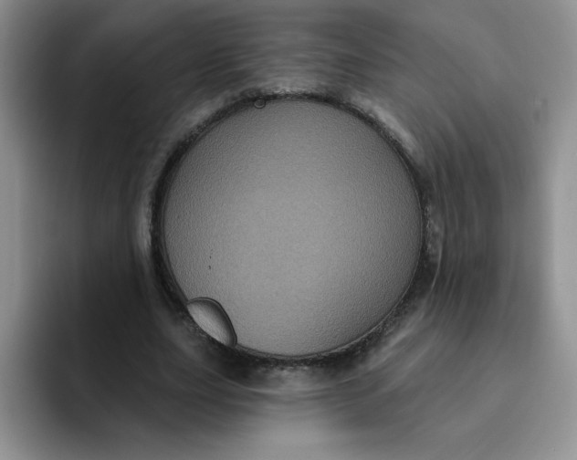 X0000091730631200709141226