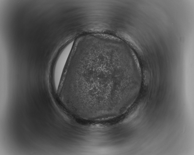 X0000091730634200709141226