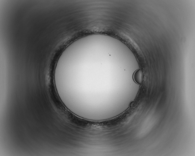 X0000091730635200709141226