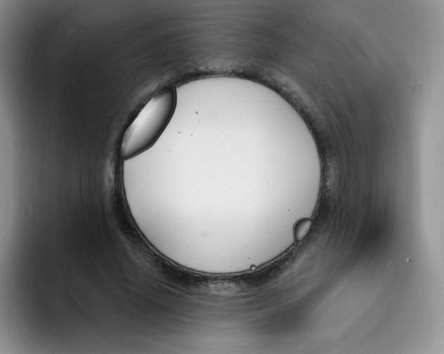 X0000091730636200709141226