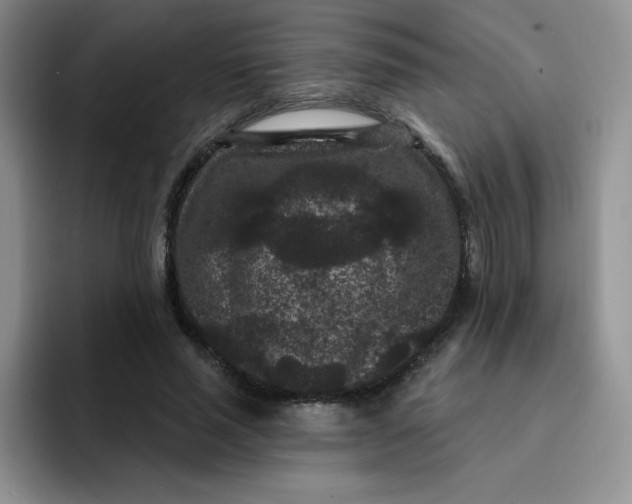 X0000091730637200709141226