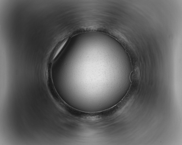 X0000091730638200709141226