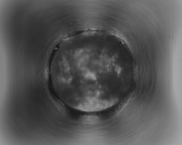 X0000091730644200709141226