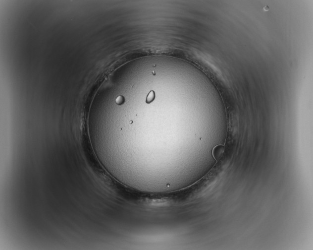 X0000091730645200709141226