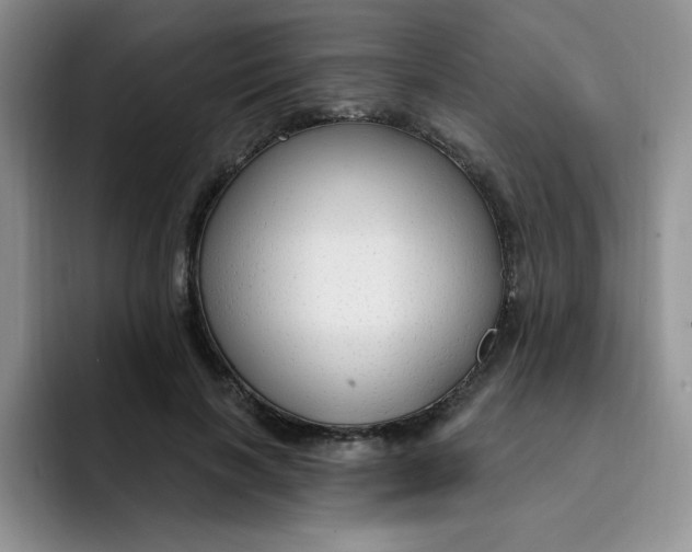 X0000091730646200709141226