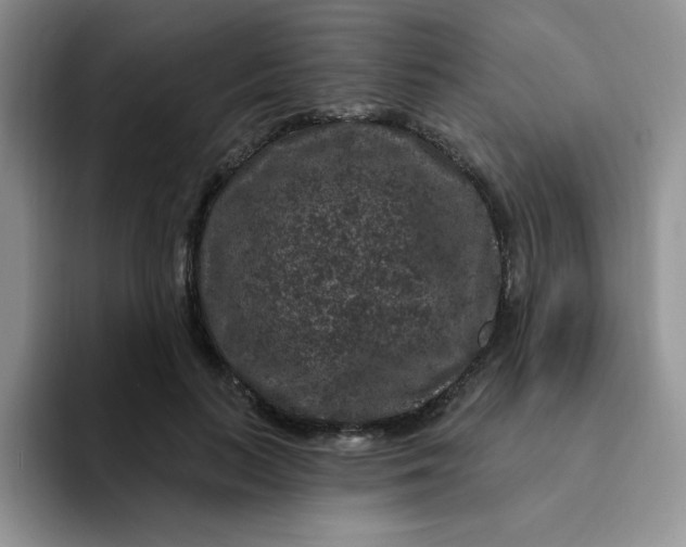 X0000091730647200709141226