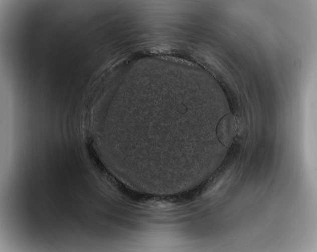 X0000091730648200709141226