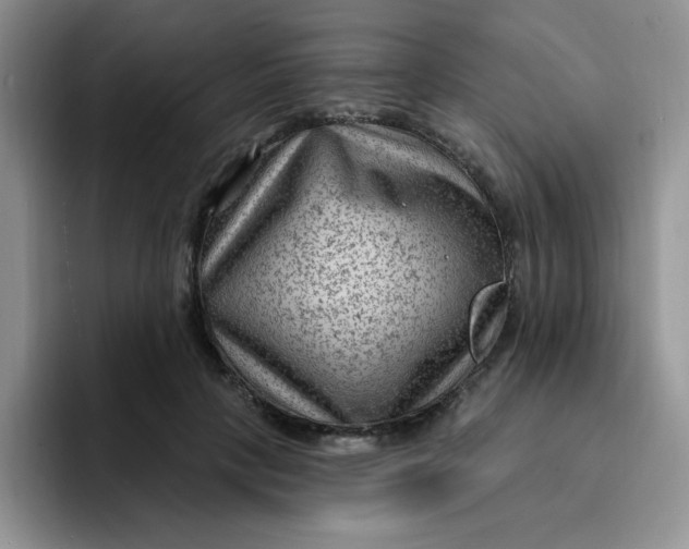 X0000091730649200709141226