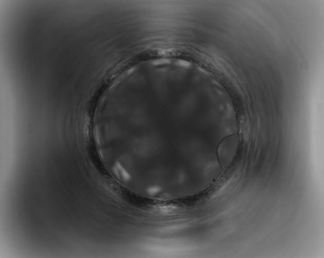 X0000091730650200709141227