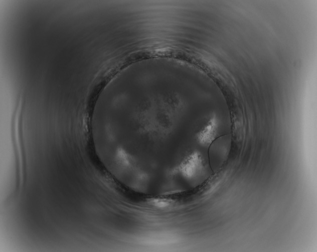 X0000091730654200709141227