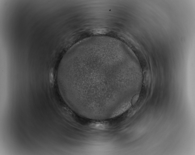 X0000091730655200709141227