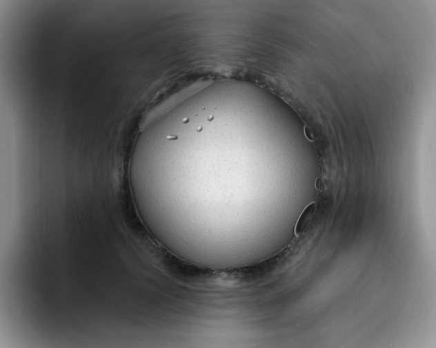 X0000091730656200709141227