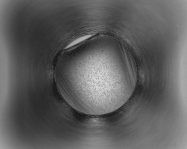 X0000091730657200709141227