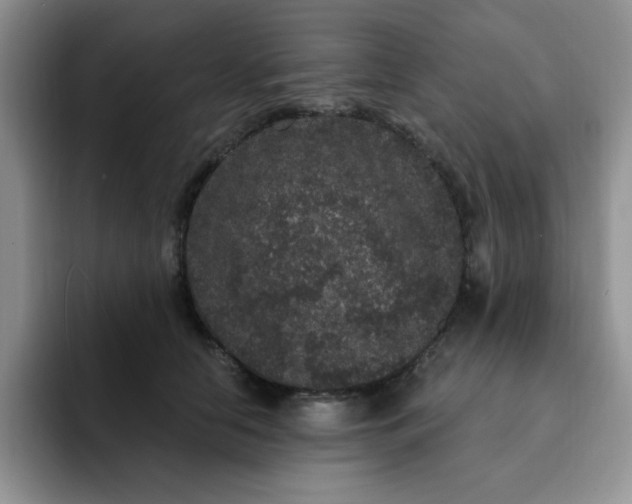 X0000091730658200709141227