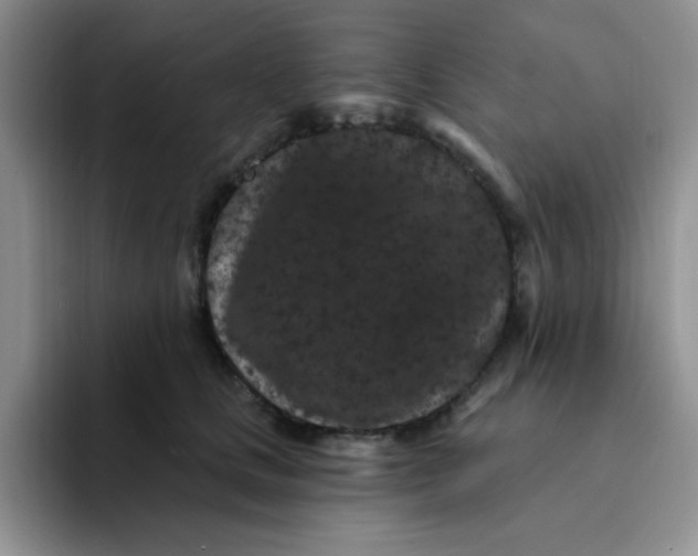 X0000091730661200709141227