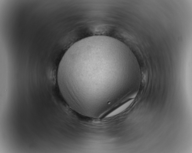 X0000091730666200709141227