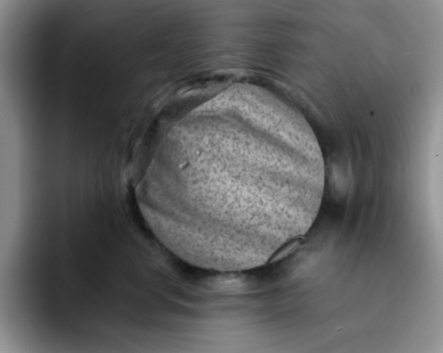 X0000091730668200709141227