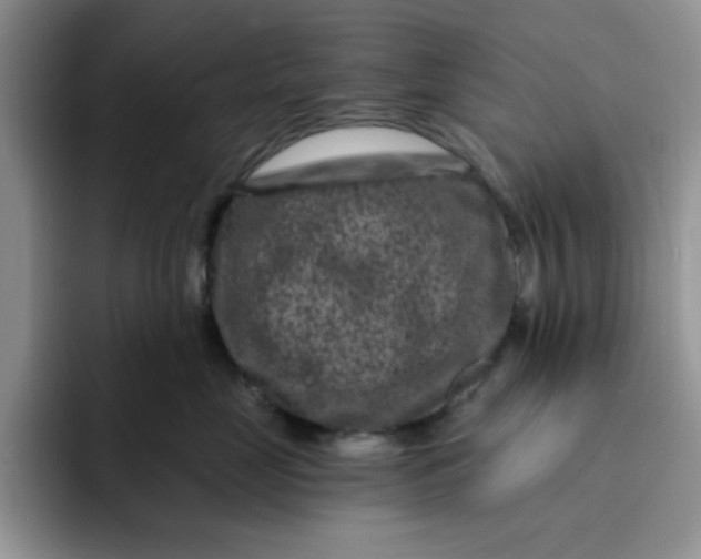 X0000091730669200709141227