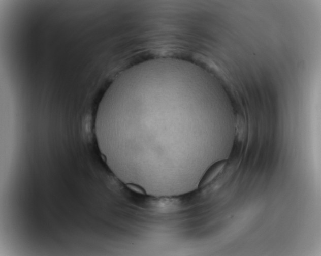 X0000091730670200709141227