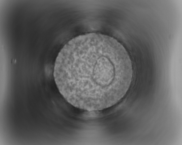 X0000091730672200709141227