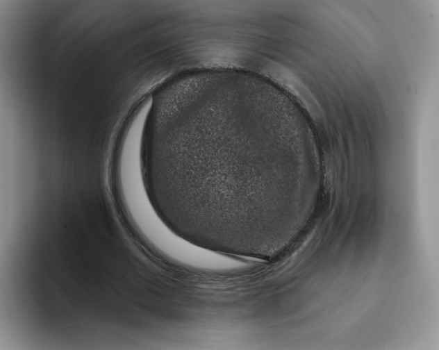 X0000091730677200709141226