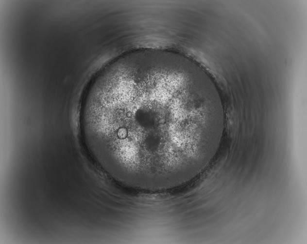 X0000091730679200709141226