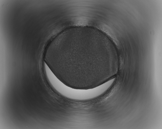 X0000091730681200709141226