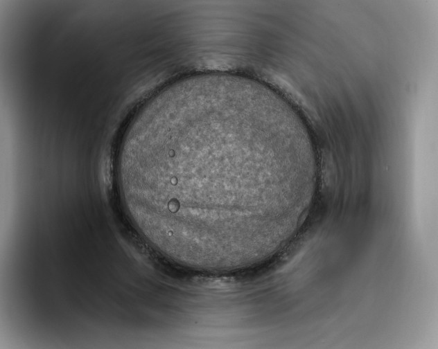 X0000091730683200709141226