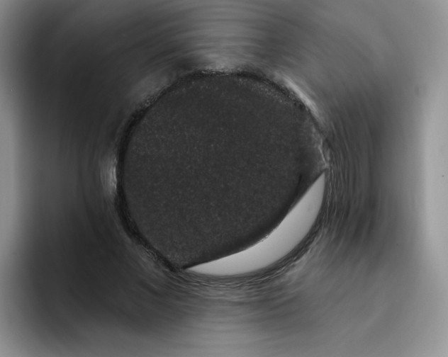 X0000091730685200709141226