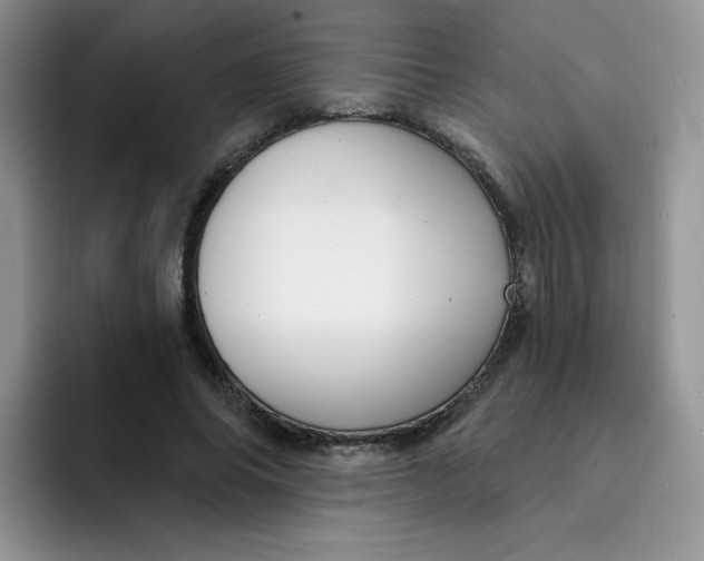 X0000091730686200709141226