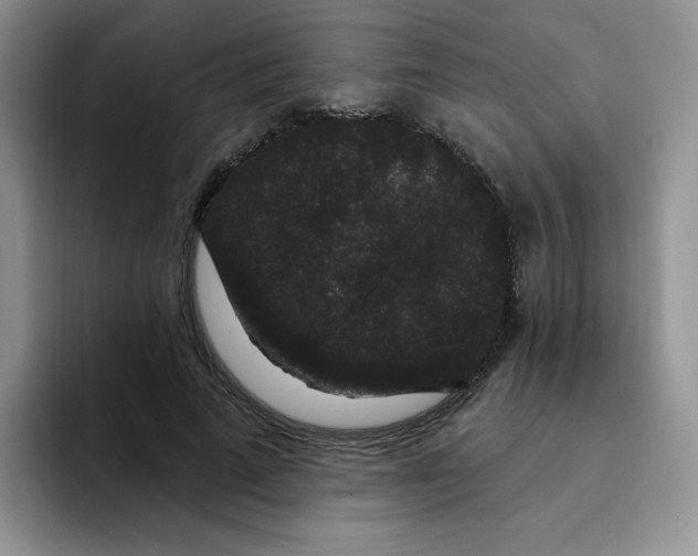 X0000091730689200709141226