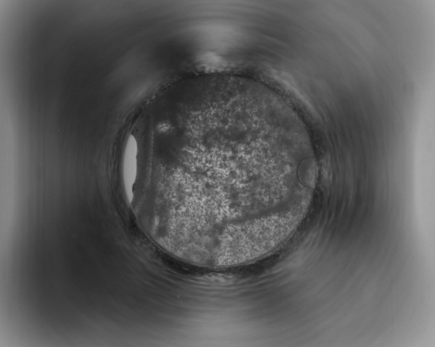 X0000091730691200709141226