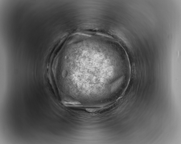 X0000091730692200709141226