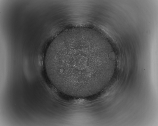 X0000091730695200709141226