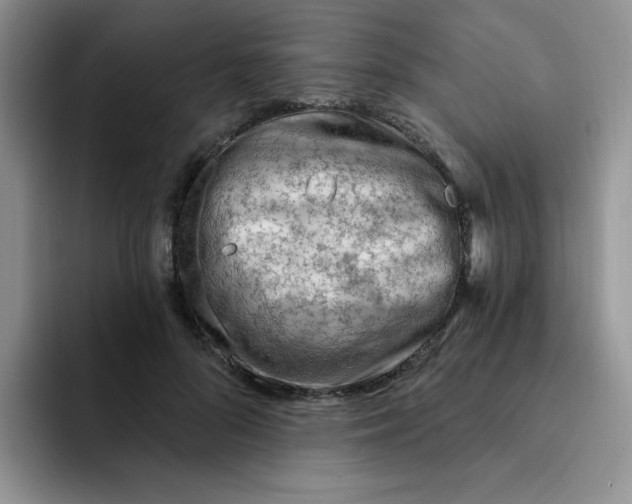 X0000091730696200709141226