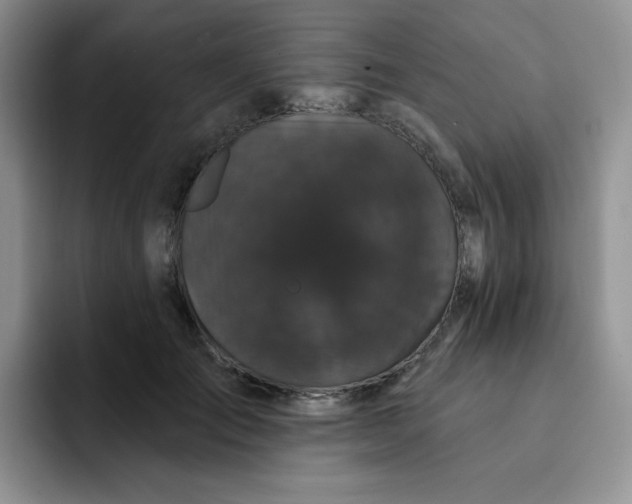 X0000091730701200709141226