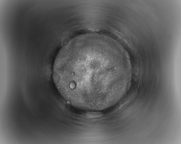 X0000091730707200709141226