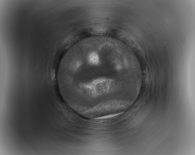 X0000091730711200709141226