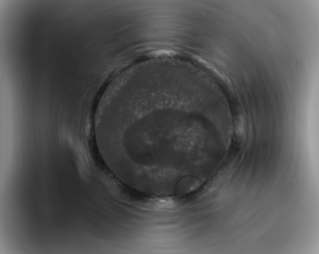 X0000091730715200709141226